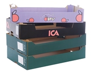 Groente fruit Tray karton